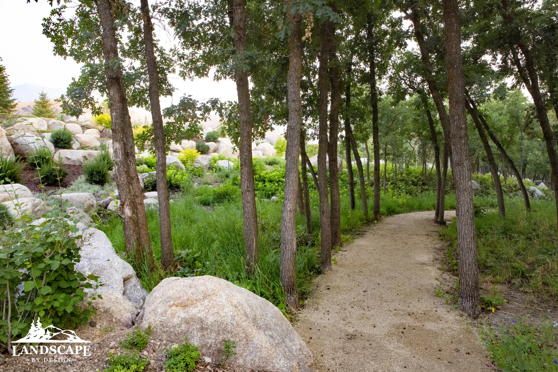 Craft/Hardscape/Floors/Gravel Path Through Trees