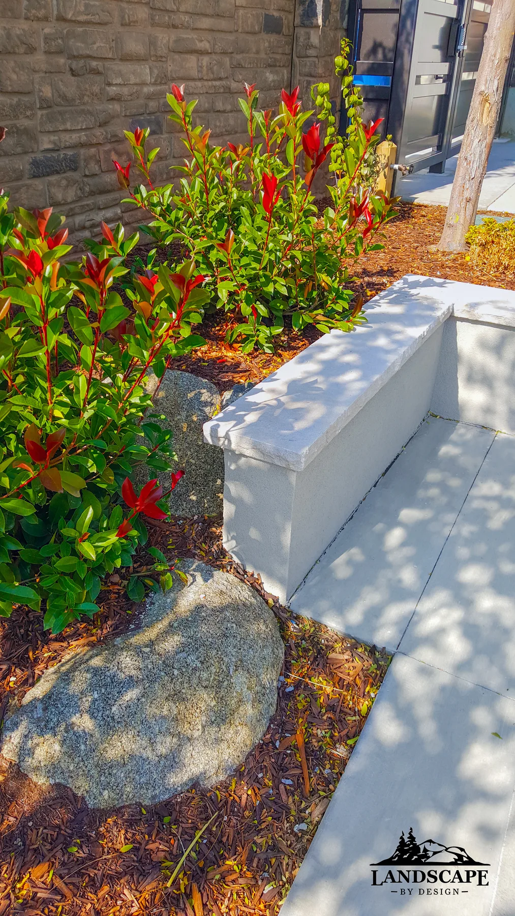 Craft/Hardscape/Walls/Small Wall Plants