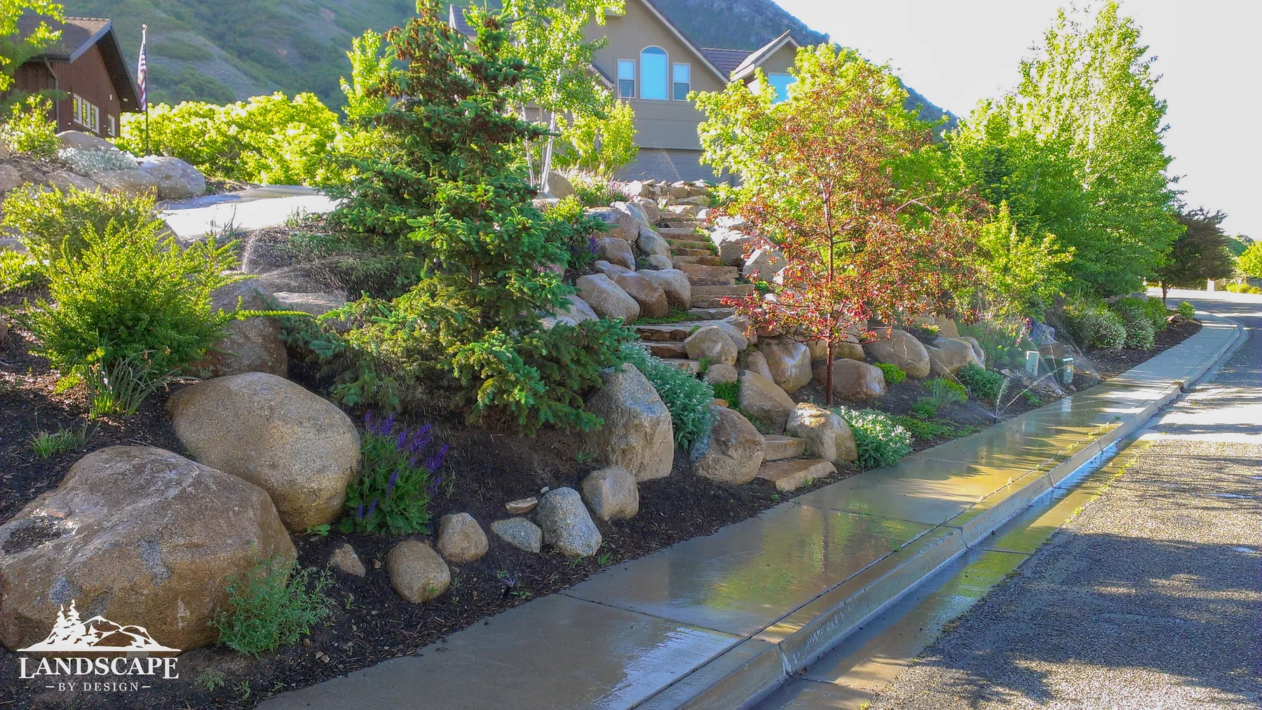 Craft/Planting/Boulders Steps Plants Trees
