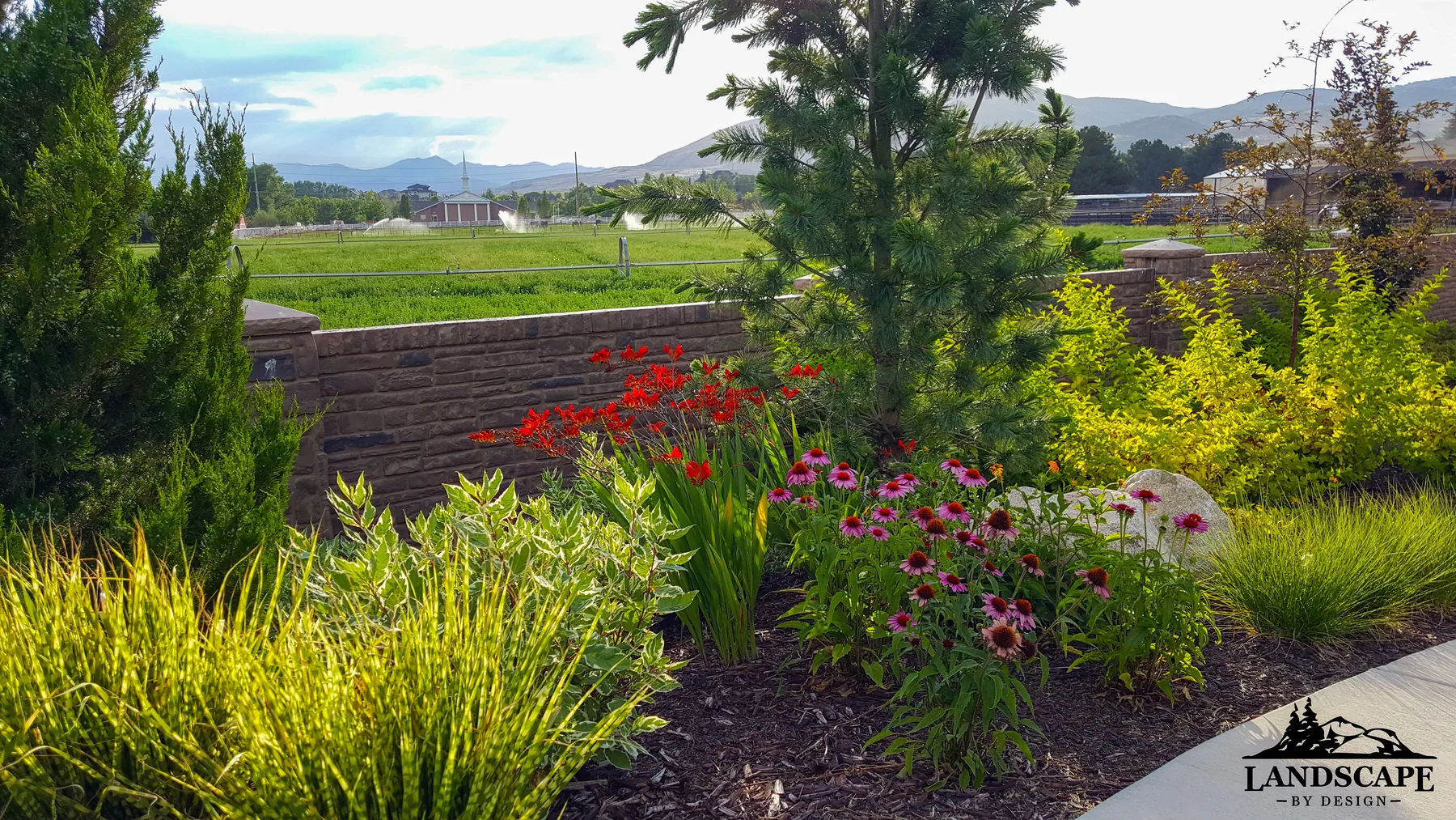 Craft/Planting/Flowers Along Fence Other