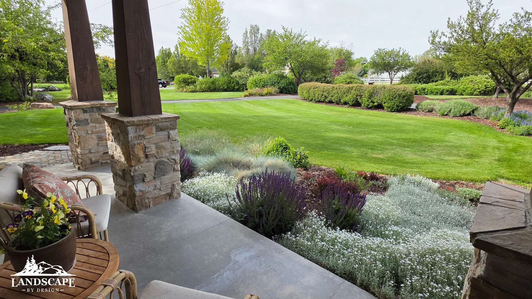 Craft/Planting/Front Planting And Grass