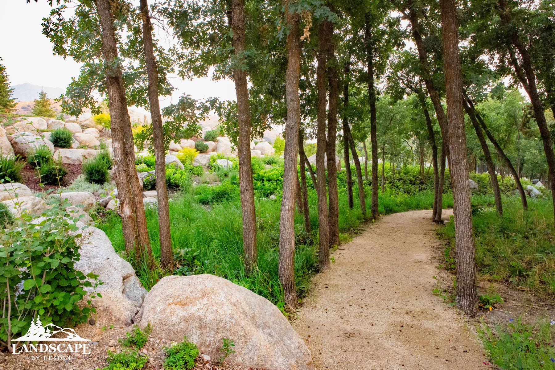 Craft/Planting/Gravel Path Through Trees
