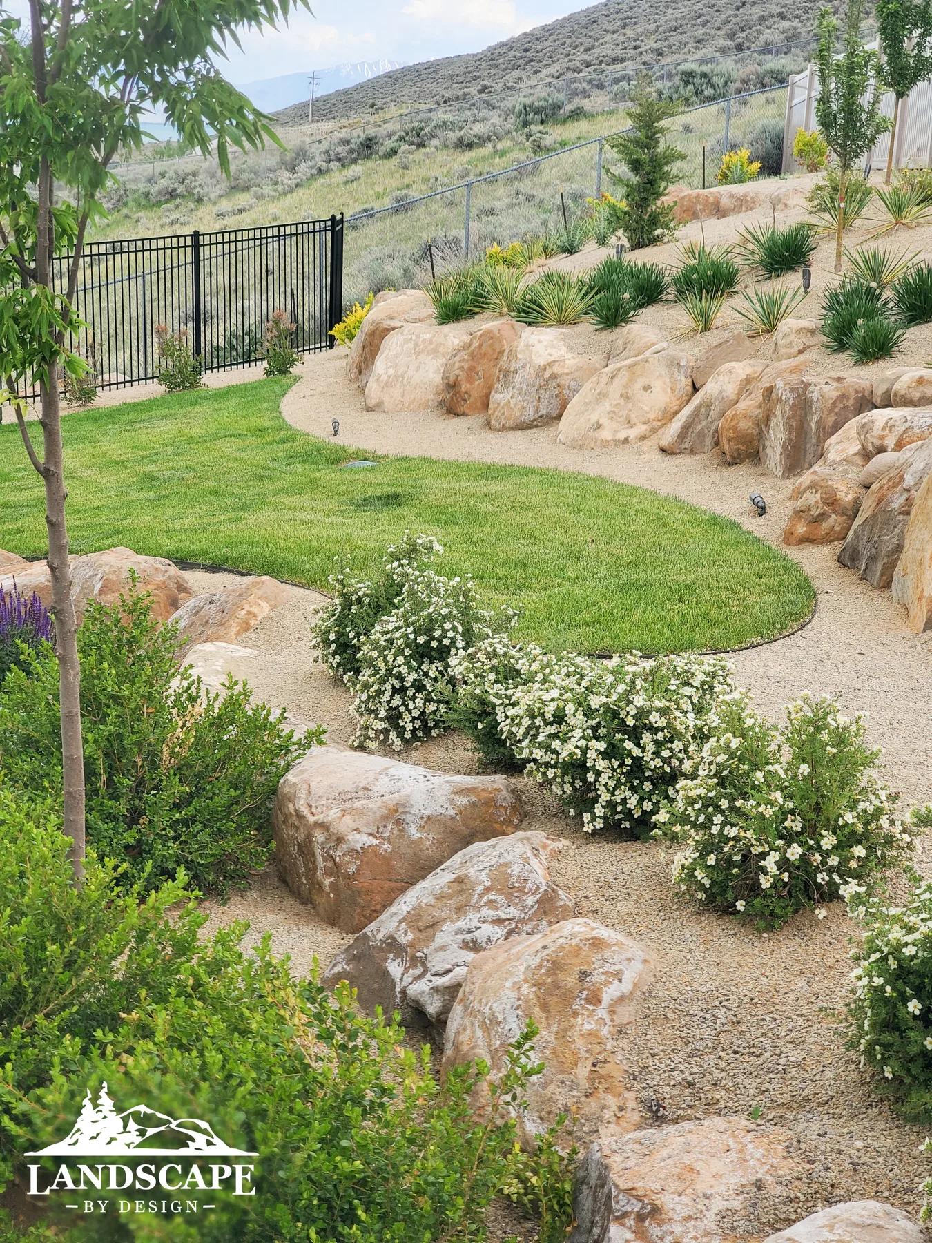 Craft/Planting/Planting And Boulder Wall Vertical