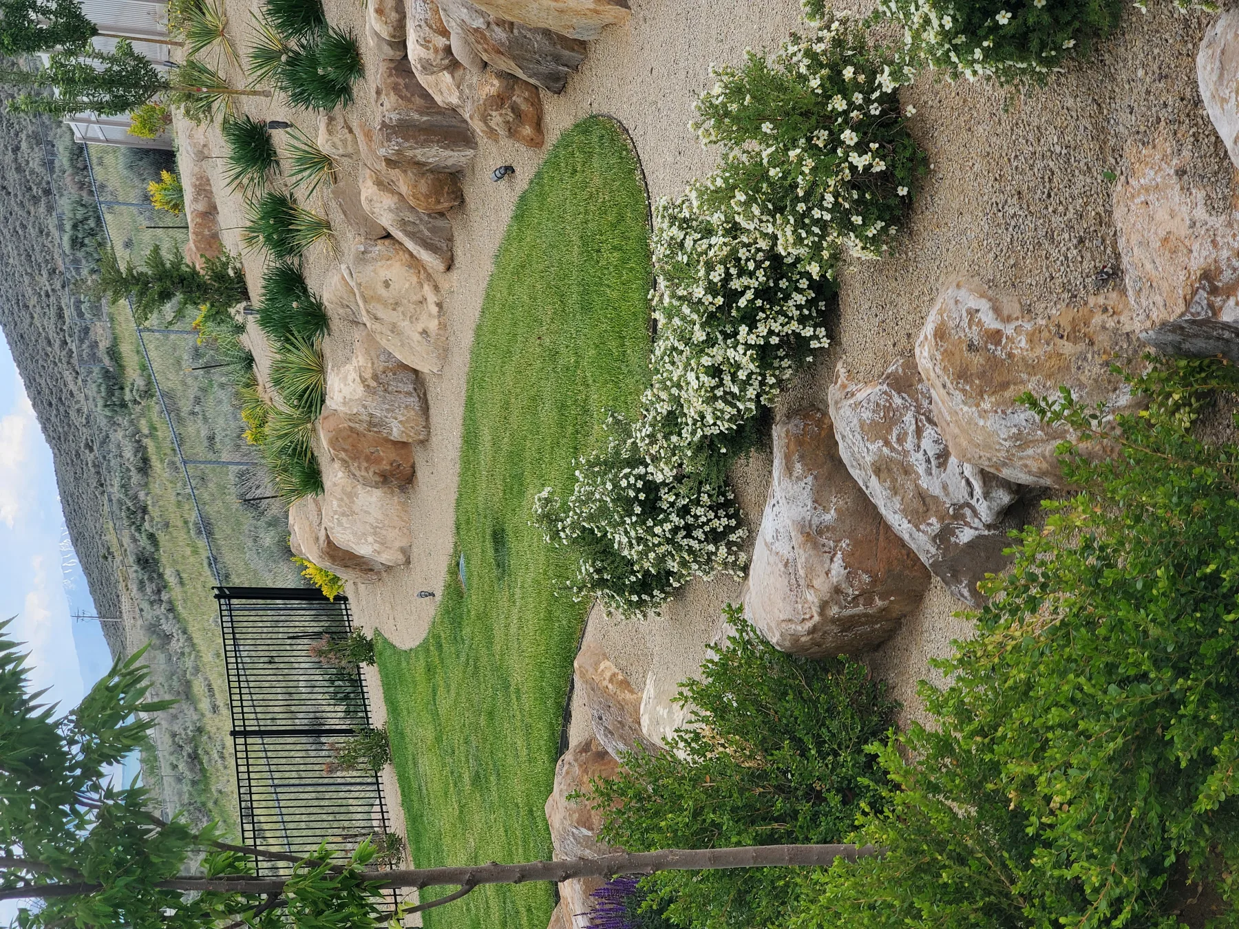 Craft/Planting/Planting And Boulder Wall