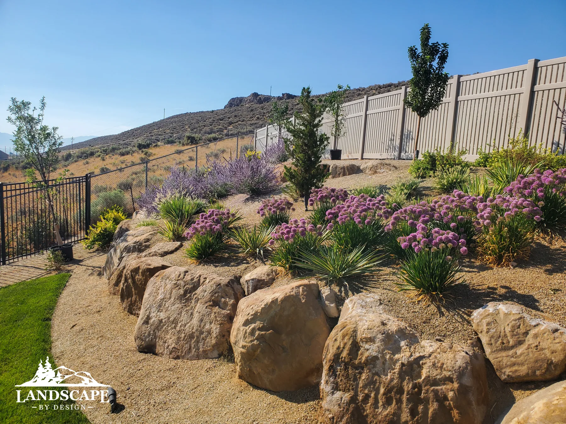 Craft/Planting/Purple Plants And Boulders