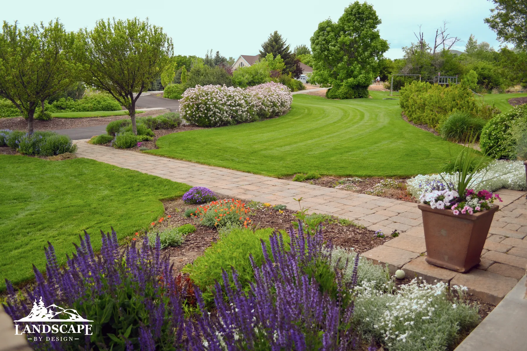 Craft/Planting/Spring Grass Area And Plants