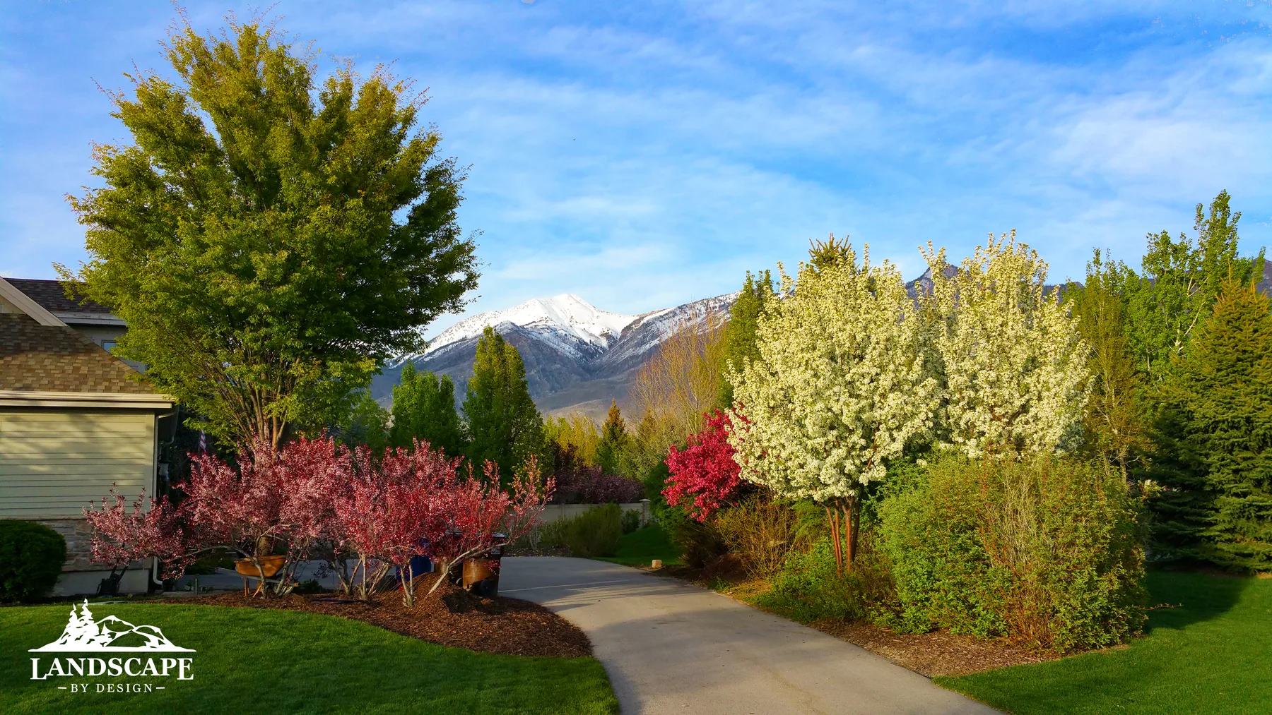 Craft/Planting/Trees Along Driveway
