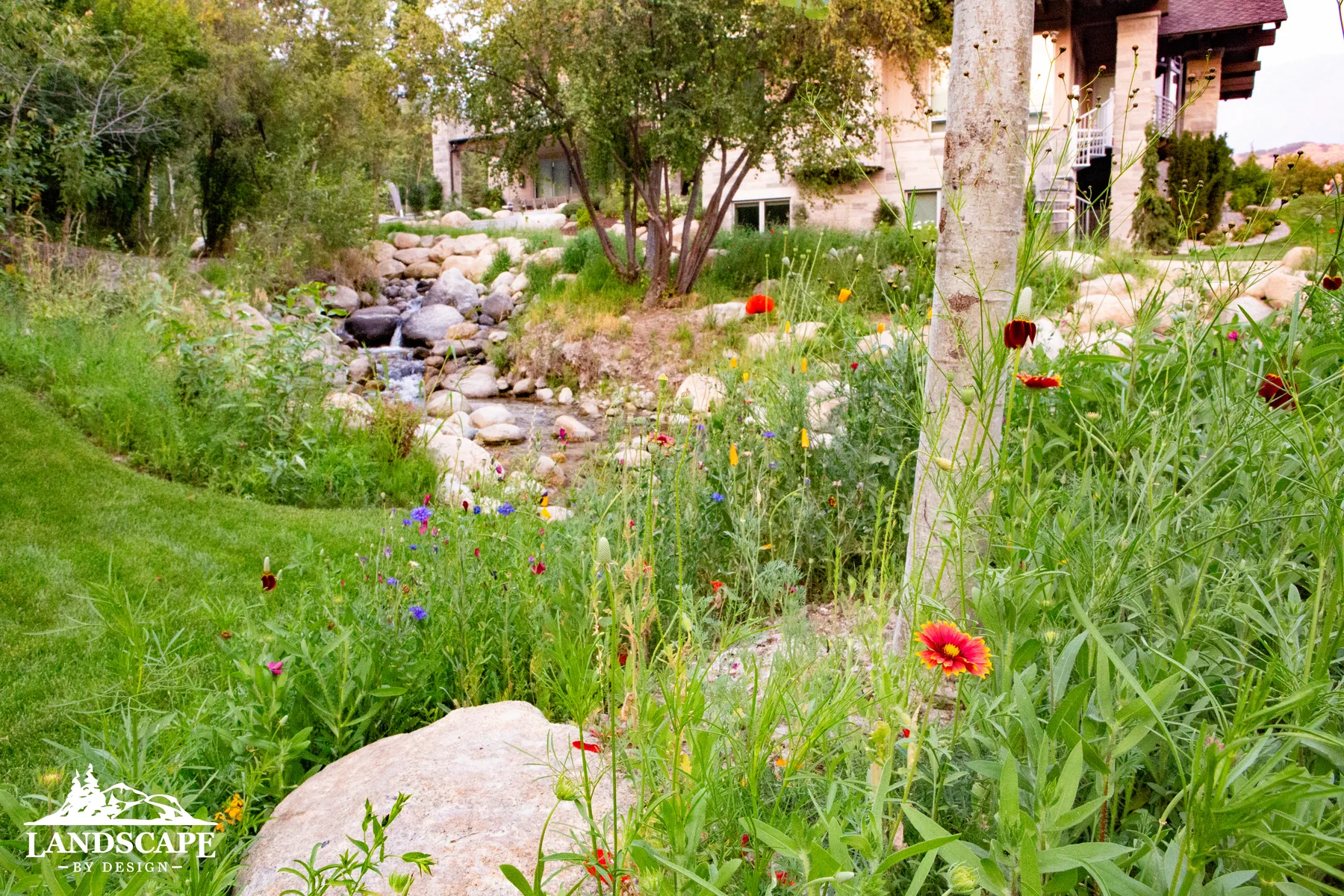 Naturalistic planting that blends seamlessly with the surrounding landscape.