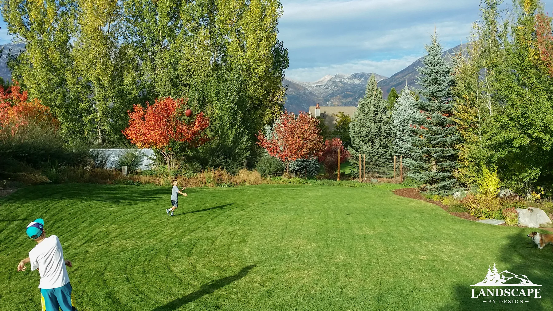 Grass Kids Playing