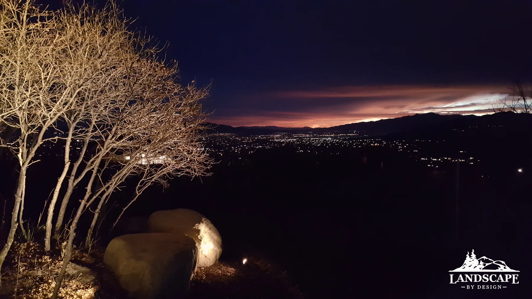 Tree Lighting Overlooking Valley